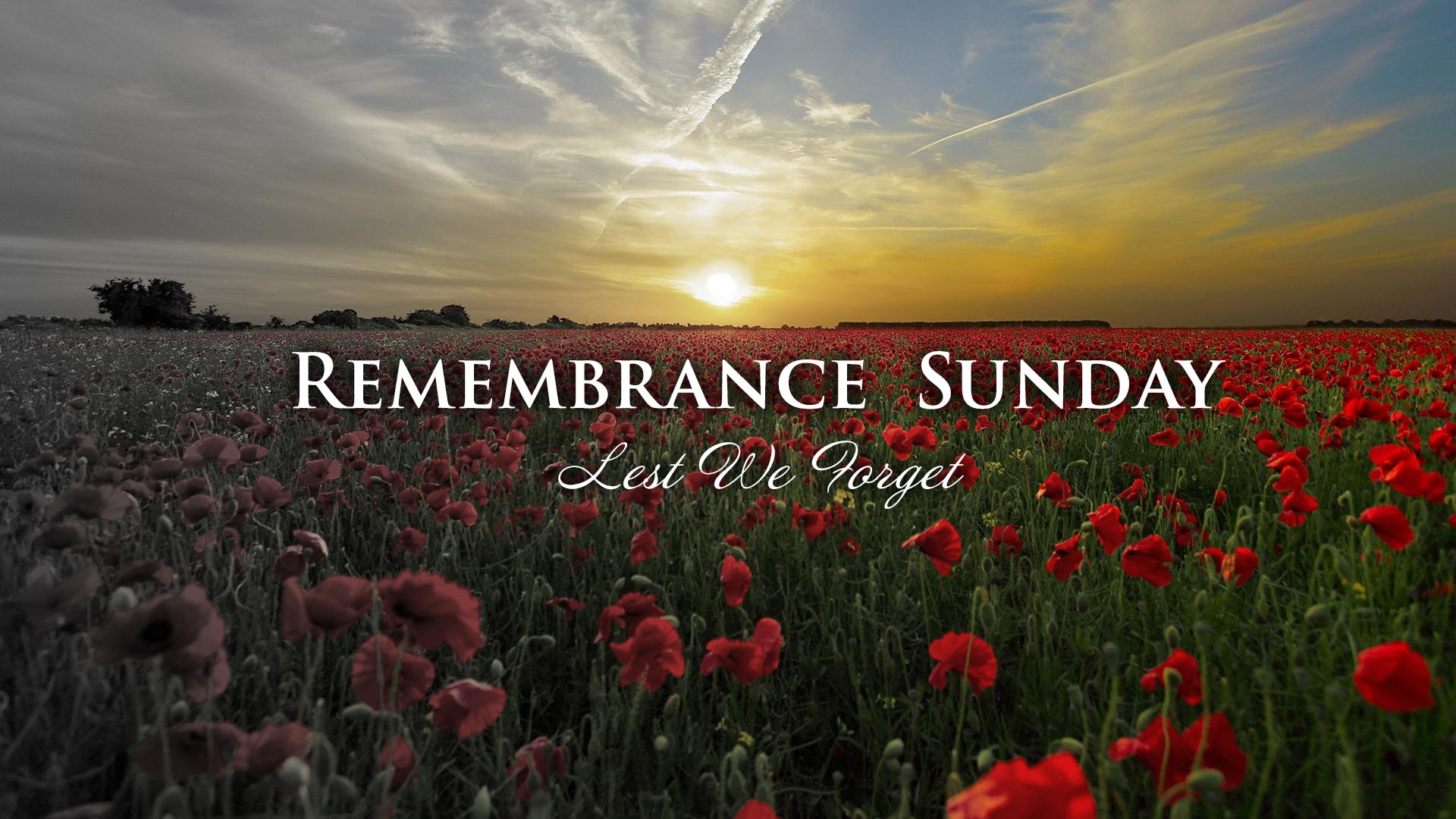 images remembrance sunday